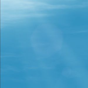 Meet your Posher, Celina